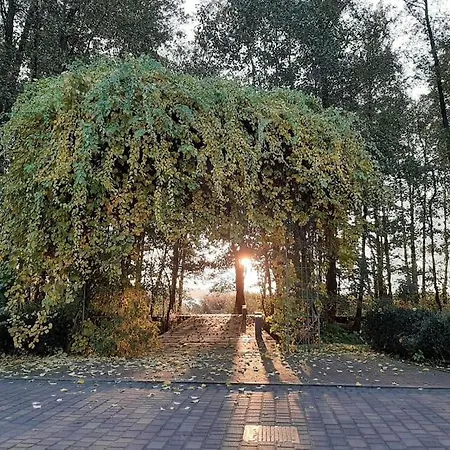 View House Wifi Free Parking Вилла *